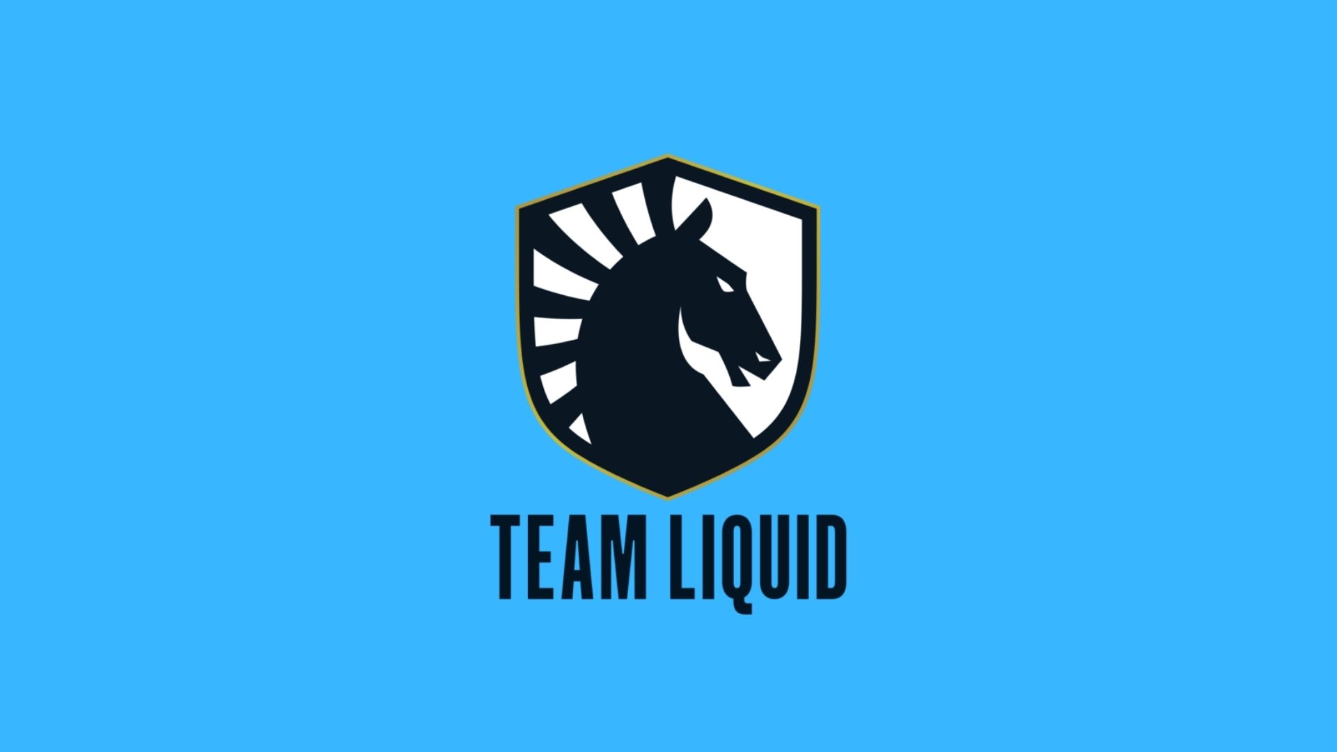 Team Liquid Unveils Overwatch Roster