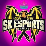 Sk Esports gaming cafe Logo.jpg