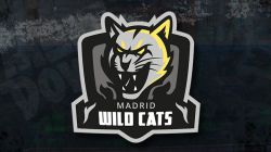 Meltdown Madrid Logo.jpg