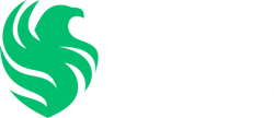 Team Falcons Darkmode.png