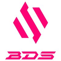Team BDS - Organization