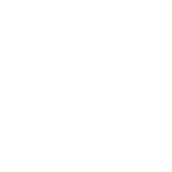 TSM Logo Dark.png