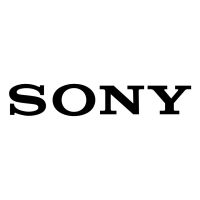 Sony - Organization