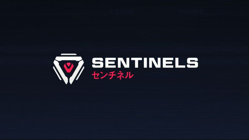 Sentinels ed.JPG