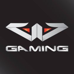WIRED Gaming Logo.jpg