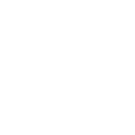 Team Spirit Logo Dark.png