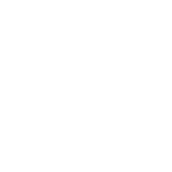 Team Spirit Logo Dark.png