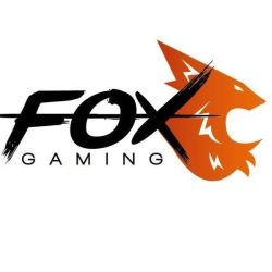 Fox Gaming Cyber Cafe Logo.jpg