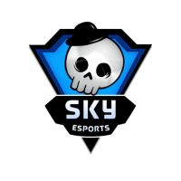 Skyesports - Organization