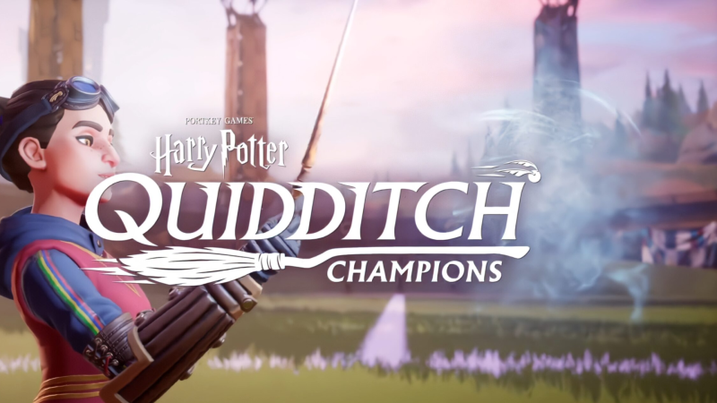 Harry potter quidditch champions.png