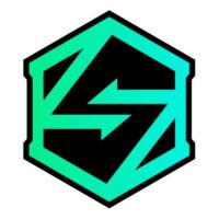 VK Gaming - Organization